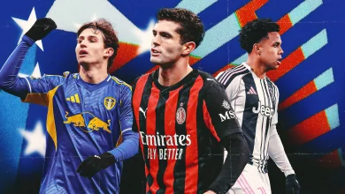 کریستین پولیشیچ